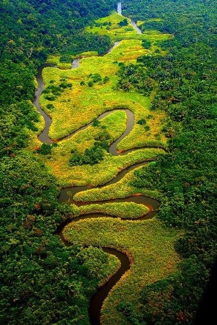 Explore the mighty Congo River, a lifeline of Africa's lush rainforests and diverse wildlife, teeming with natural wonders and cultural heritage.