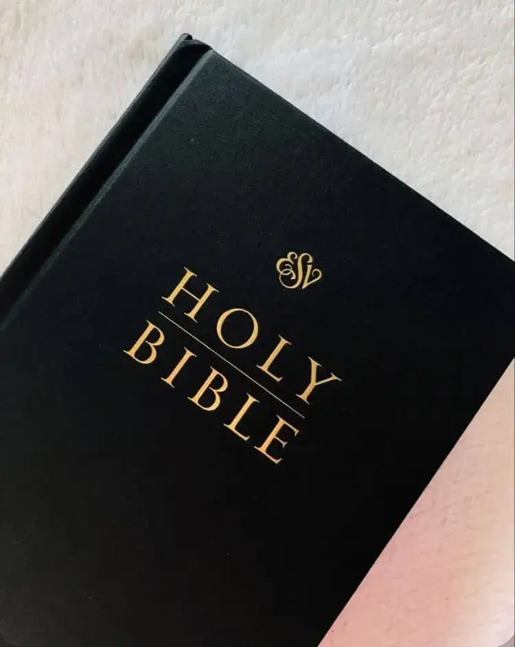 Embark on a spiritual journey through the wisdom and faith of The Bible, a sacred text that has inspired hearts and minds for centuries, offering guidance and solace to billions around the world.
