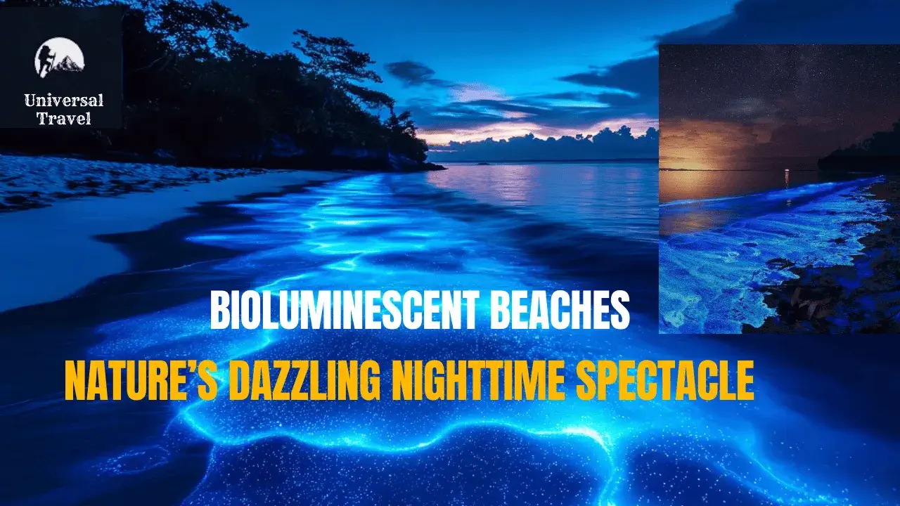 Discover the mesmerizing beauty of bioluminescent beaches, where nature's dazzling nighttime spectacle lights up the shores with a magical glow, creating a unique and enchanting experience.